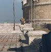 Warzone1b.jpg