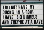 ducks.jpg