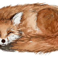 BlueFoxFifty
