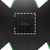 the zila